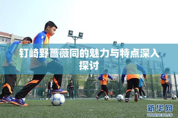 钉崎野蔷薇同的魅力与特点深入探讨