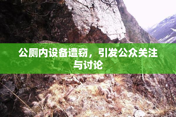 公厕内设备遭窃，引发公众关注与讨论