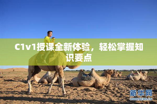 C1v1授课全新体验，轻松掌握知识要点