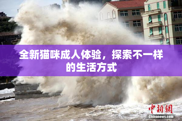 全新猫咪成人体验，探索不一样的生活方式