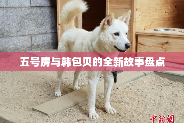 五号房与韩包贝的全新故事盘点