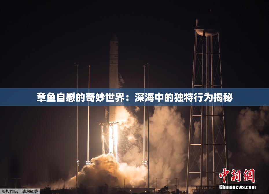 章鱼自慰的奇妙世界：深海中的独特行为揭秘