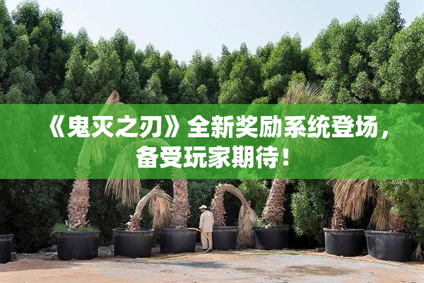 《鬼灭之刃》全新奖励系统登场，备受玩家期待！