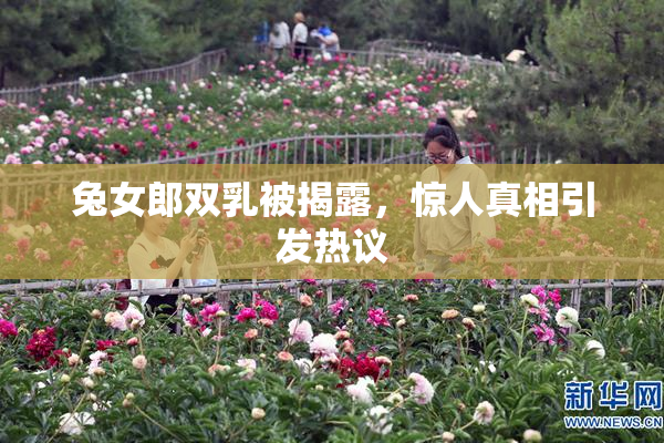 兔女郎双乳被揭露，惊人真相引发热议