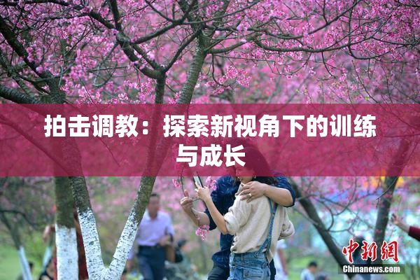 拍击调教：探索新视角下的训练与成长