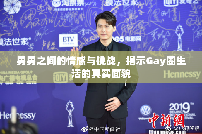 男男之间的情感与挑战，揭示Gay圈生活的真实面貌