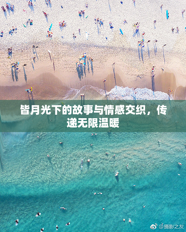 皆月光下的故事与情感交织，传递无限温暖