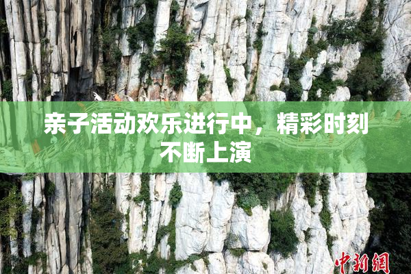 亲子活动欢乐进行中，精彩时刻不断上演