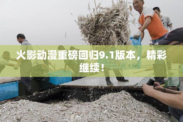 火影动漫重磅回归9.1版本，精彩继续！