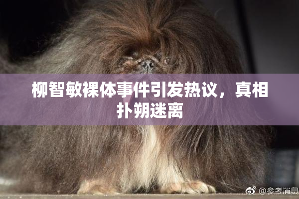 柳智敏裸体事件引发热议，真相扑朔迷离