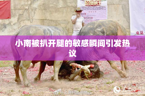 小南被扒开腿的敏感瞬间引发热议