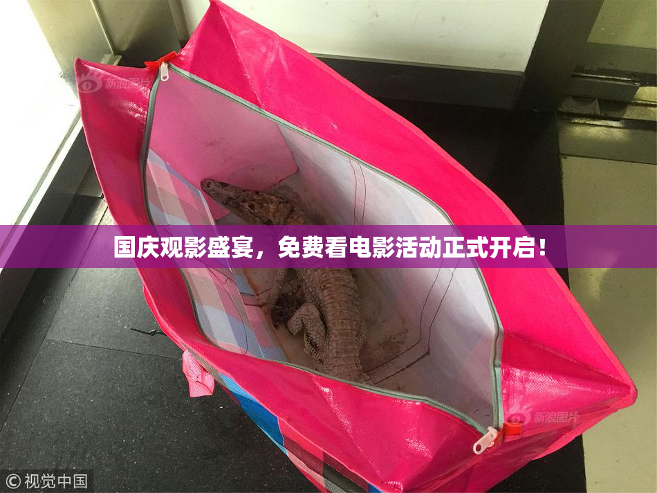 国庆观影盛宴，免费看电影活动正式开启！