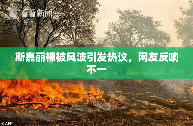 斯嘉丽裸被风波引发热议，网友反响不一