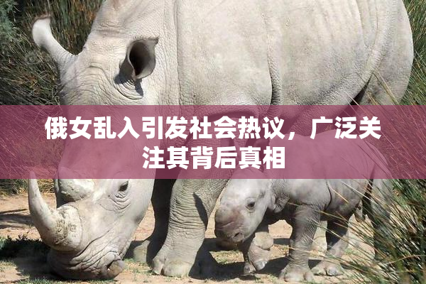 俄女乱入引发社会热议，广泛关注其背后真相