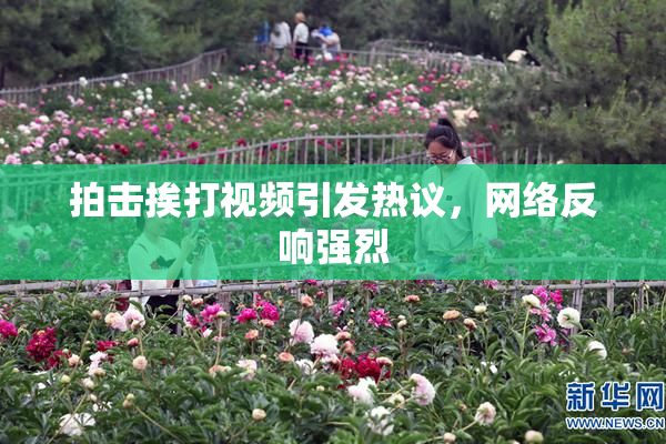 拍击挨打视频引发热议，网络反响强烈
