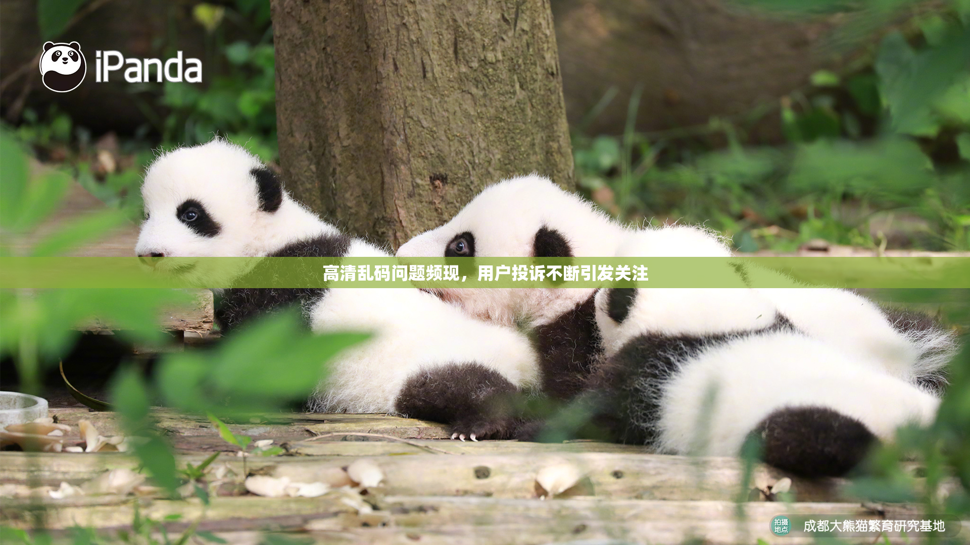 高清乱码问题频现，用户投诉不断引发关注