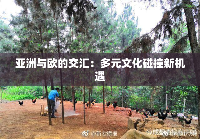 亚洲与欧的交汇：多元文化碰撞新机遇