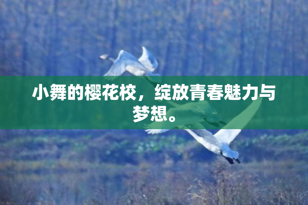 小舞的樱花校，绽放青春魅力与梦想。