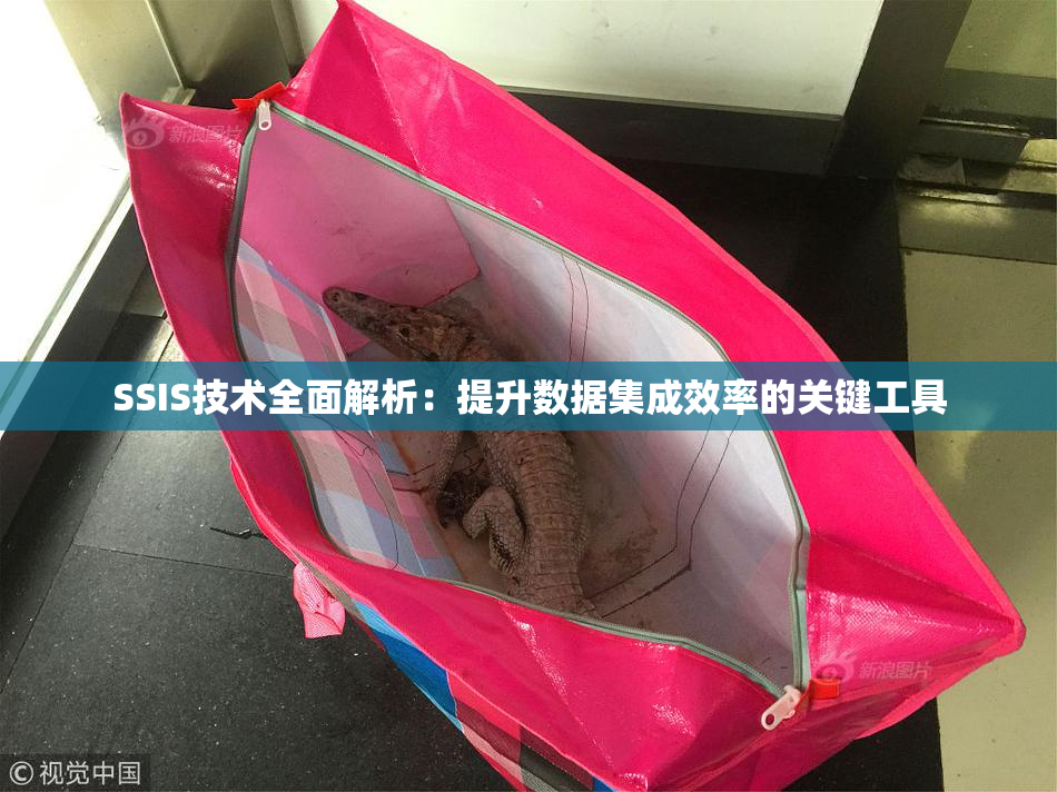 SSIS技术全面解析：提升数据集成效率的关键工具