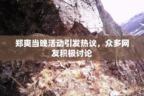 郑爽当晚活动引发热议，众多网友积极讨论