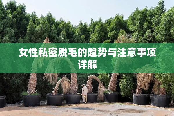 女性私密脱毛的趋势与注意事项详解