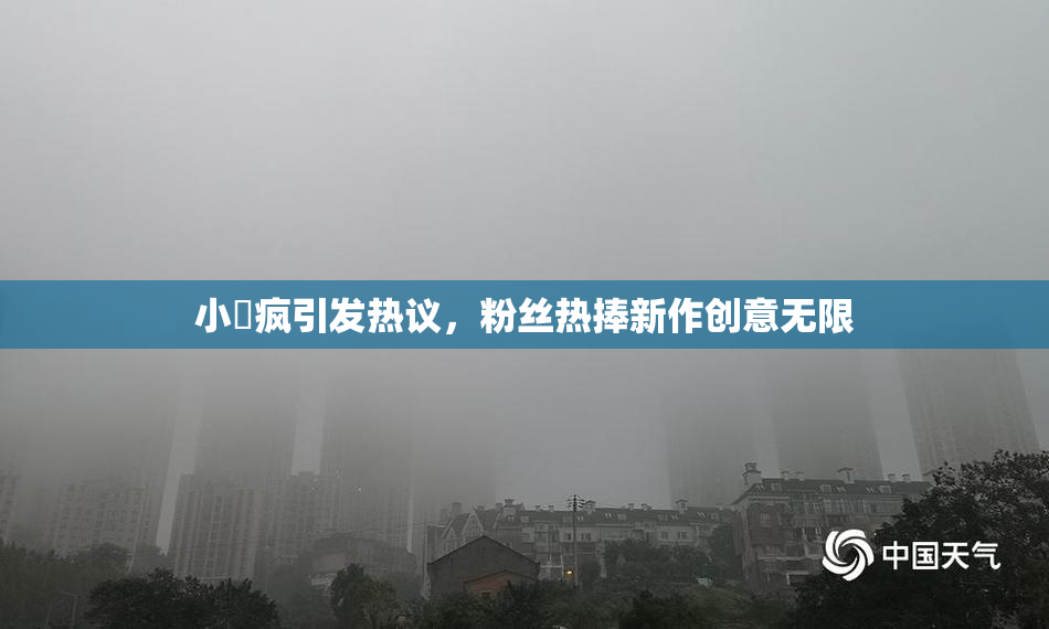 小泬疯引发热议，粉丝热捧新作创意无限