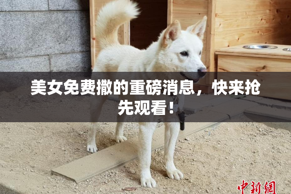 美女免费撒的重磅消息，快来抢先观看！