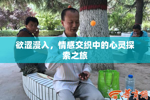欲涩漫入，情感交织中的心灵探索之旅