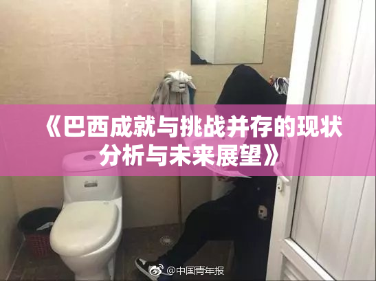 《巴西成就与挑战并存的现状分析与未来展望》