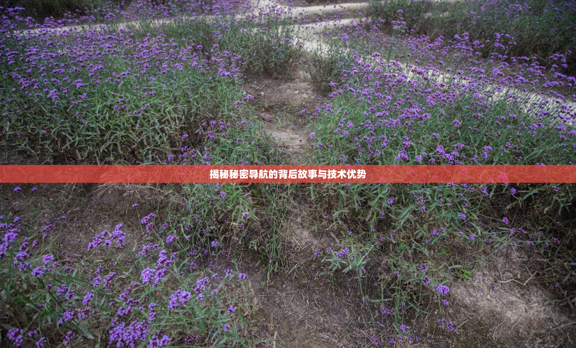 揭秘秘密导航的背后故事与技术优势