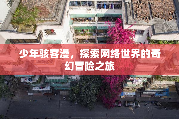 少年骇客漫，探索网络世界的奇幻冒险之旅