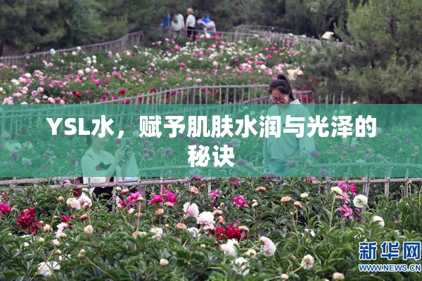 YSL水，赋予肌肤水润与光泽的秘诀