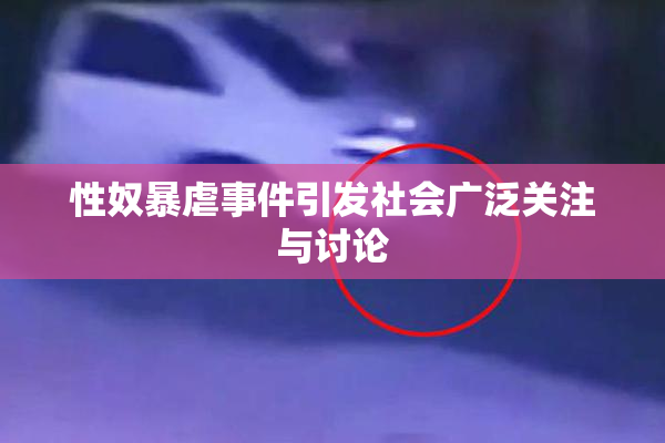 性奴暴虐事件引发社会广泛关注与讨论