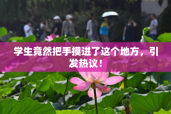 学生竟然把手摸进了这个地方，引发热议！