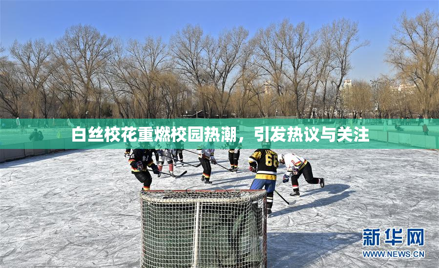 白丝校花重燃校园热潮，引发热议与关注
