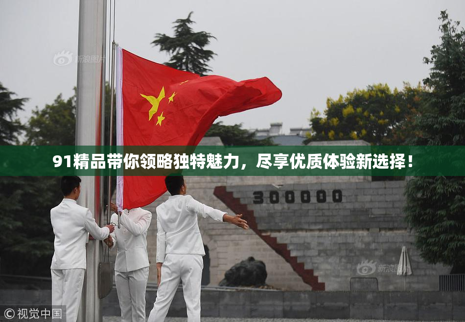 91精品带你领略独特魅力，尽享优质体验新选择！