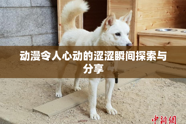 动漫令人心动的涩涩瞬间探索与分享