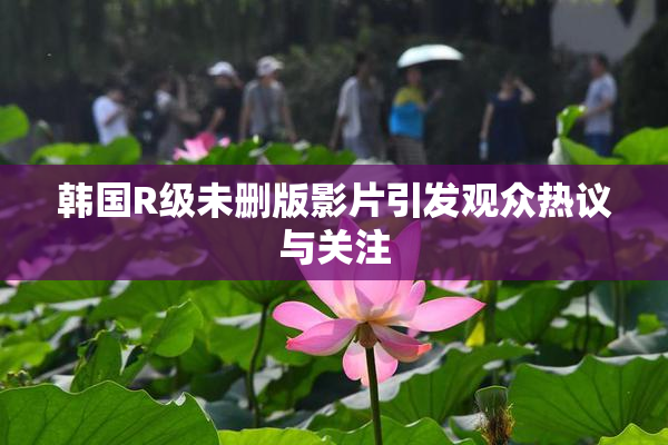 韩国R级未删版影片引发观众热议与关注