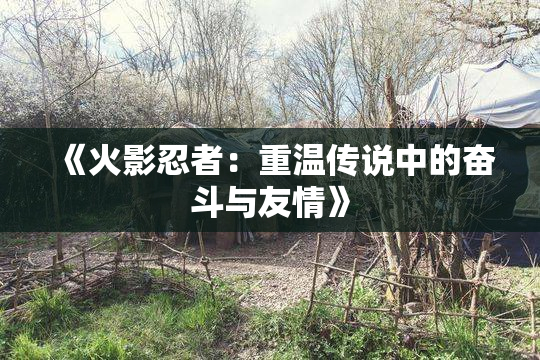 《火影忍者：重温传说中的奋斗与友情》