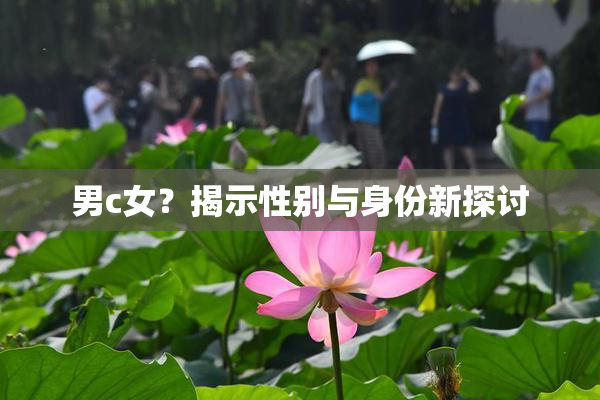 男c女？揭示性别与身份新探讨