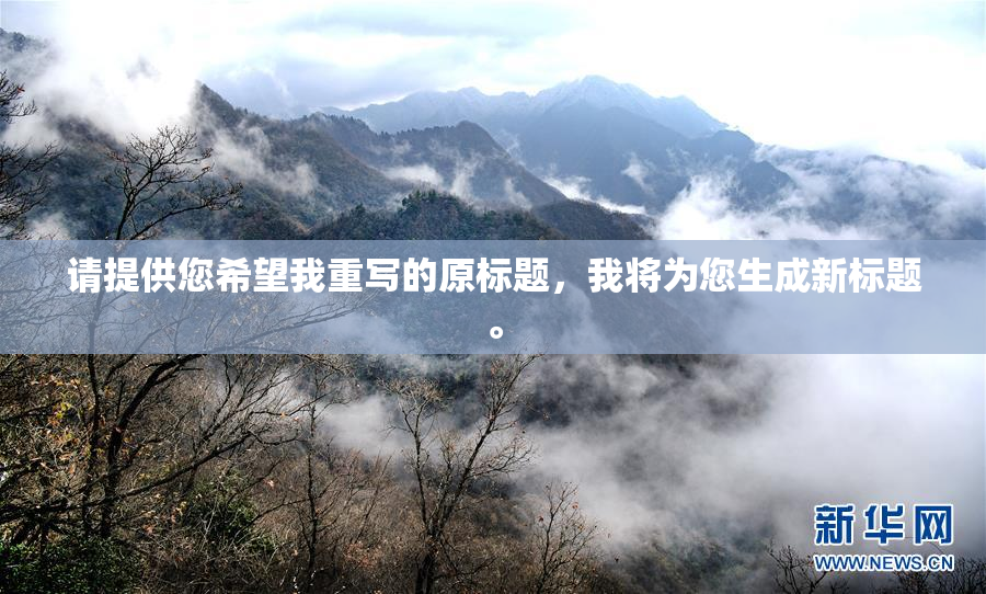 请提供您希望我重写的原标题，我将为您生成新标题。