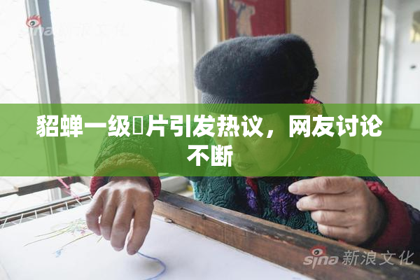 貂蝉一级婬片引发热议，网友讨论不断