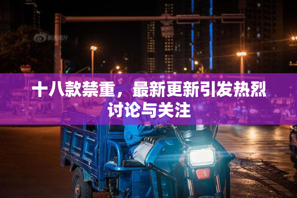 十八款禁重，最新更新引发热烈讨论与关注