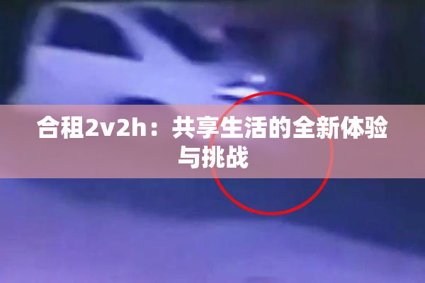 合租2v2h：共享生活的全新体验与挑战