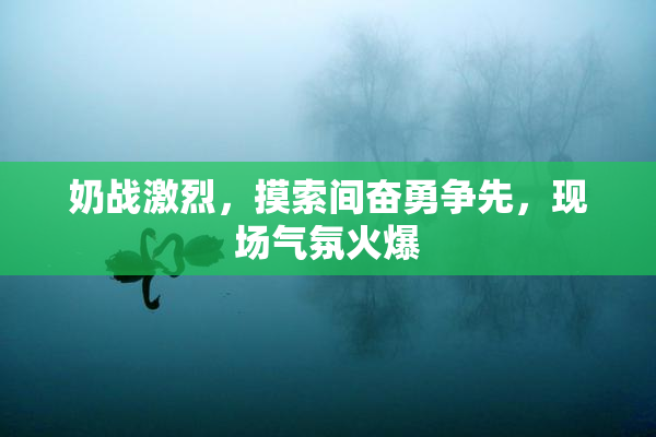 奶战激烈，摸索间奋勇争先，现场气氛火爆
