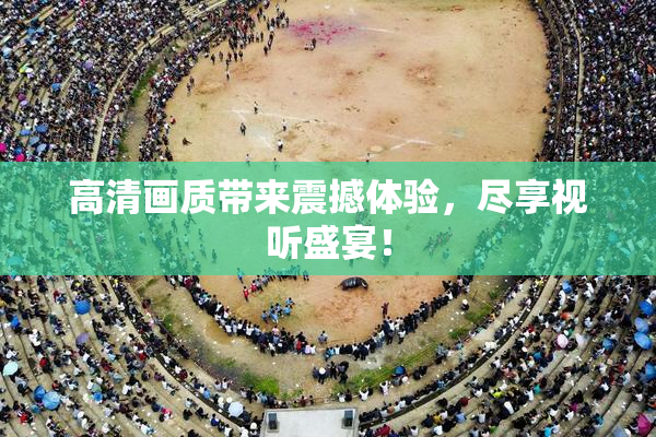 高清画质带来震撼体验，尽享视听盛宴！