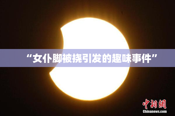 “女仆脚被挠引发的趣味事件”