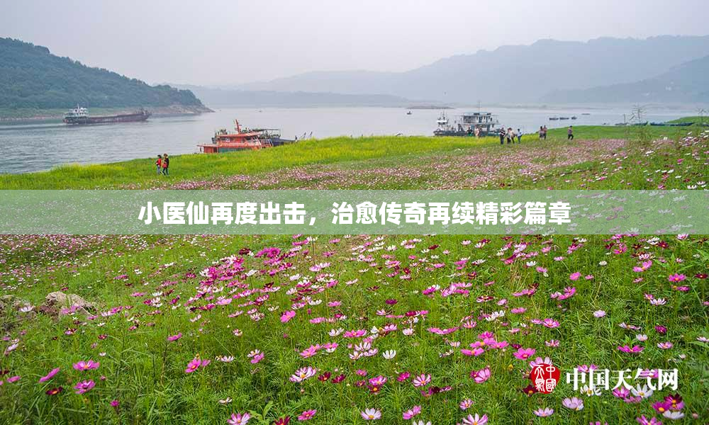 小医仙再度出击，治愈传奇再续精彩篇章
