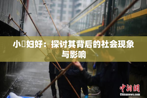 小婬妇好：探讨其背后的社会现象与影响