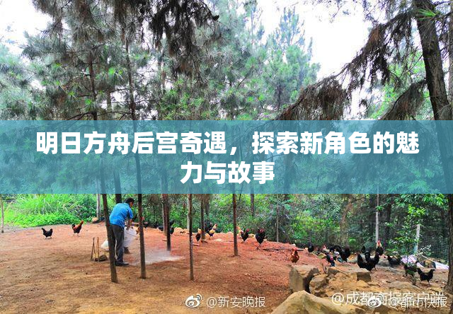 明日方舟后宫奇遇，探索新角色的魅力与故事